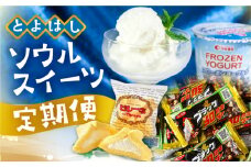 豊橋ソウルスイーツ　定期便　3回お届け