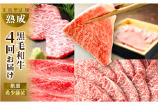 黒毛和牛 みかわ牛 希少部位 全4回 定期便