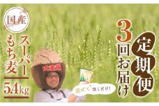 豊橋産スーパーもち麦　定期便 3回（1.8kg×3）