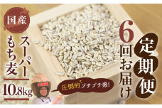 豊橋産スーパーもち麦　定期便 6回（1.8kg×6）