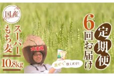 豊橋産スーパーもち麦　定期便 6回（1.8kg×6）