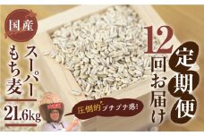 豊橋産スーパーもち麦　定期便 12回（1.8kg×12）