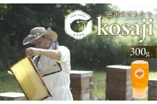 数量限定！【kosaji】春はちみつ300g ボトル入り