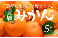 豊橋みかん 訳あり 5kg