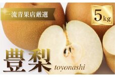 ≪先行予約≫一流青果店厳選！梨 5kg