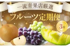 一流青果店厳選！フルーツ定期便 3回（梨・ぶどう・メロン）