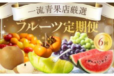 一流青果店厳選！フルーツ定期便 6回（梨・ぶどう・メロン・スイカ・柿・トマト）
