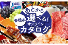 ＼あとから選べる ／オンラインカタログ あとからチョイス 50万円 有効期限なし 後から選べる うなぎ えび 肉 総菜 訳あり スイーツ 雑貨 米 宿泊 食事券 体験 チケット お酒 日用品