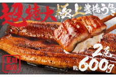 豊橋うなぎ 蒲焼 特大サイズ 2尾 夏目商店 蒲焼 国産 国産うなぎ 蒲焼 長焼 ウナギ
