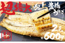 豊橋うなぎ 白焼 特大サイズ 2尾 夏目商店 蒲焼 国産 国産うなぎ 蒲焼 長焼 ウナギ