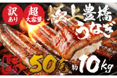 豊橋うなぎ 大容量 50尾 業務用 長蒲焼  夏目商店 蒲焼 国産 国産うなぎ 蒲焼 長焼 ウナギ