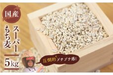 ≪年内お届け！≫豊橋産スーパーもち麦　毎日食べたいたっぷり５ｋｇ