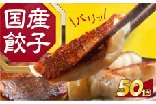 ≪年内お届け！≫国産素材を使用した、パリっとおいしい冷凍餃子！たっぷり50個！