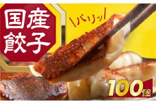 国産素材を使用した、パリっとおいしい冷凍餃子！たっぷり100個！