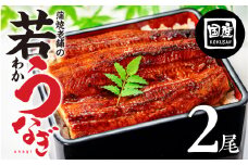 老舗蒲焼本舗の若うなぎ 2尾セット 蒲焼 ウナギ