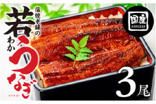 老舗蒲焼本舗の若うなぎ 3尾 セット 蒲焼 ウナギ