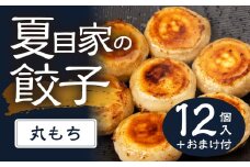 夏目家の丸もち餃子  〈1パック（12個入）＋おまけ〉丸もち餃子 夏目家 餃子 訳あり セット 定期便 惣菜 ぎょうざ 愛知県 豊橋市