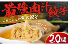 とよはし『最強肉汁餃子』20個入り