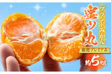 ≪先行予約≫こだわり蜜柑 蜜ツ丸 厳選プレミアム 約5kg  レギュラー箱入 マルカワ園芸 みかん こだわりみかん おみかん屋 ミカン mikan 蜜柑
