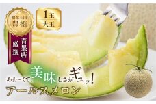 ≪先行予約 2026年発送≫ 豊橋城下地区の『アールスメロン 大玉』 1玉