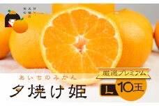 こだわり蜜柑 夕焼け姫 厳選ﾌﾟﾚﾐｱﾑ 黒の化粧箱 Lｻｲｽﾞ 10玉　マルカワ園芸