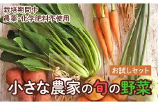 旬の野菜セット 野菜3～4品　お試し　野菜 野菜詰め合わせ おまかせ 新鮮 旬の野菜 愛知県 豊橋市
