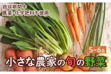 旬の野菜セット　5品~6品　野菜 野菜詰め合わせ おまかせ 新鮮 旬の野菜 愛知県 豊橋市
