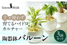 ハイドロカルチャー バルーン 陶器鉢 ゼオライト植え 3鉢セット 土無し インテリア 緑 グリーン 植物 簡単 初心者 かわいい 自然 おしゃれ 送料無料 Green Walk グリーンウォーク 愛知県 豊橋市