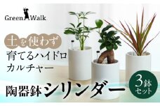ハイドロカルチャー シリンダー 陶器鉢 ゼオライト植え 3鉢セット 土無し インテリア 緑 グリーン 植物 簡単 初心者 かわいい 自然 おしゃれ 送料無料 Green Walk グリーンウォーク 愛知県 豊橋市