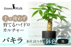 ハイドロカルチャー パキラ モノトーン ブラック 130 陶器鉢 水位計つきセット 陶器鉢 土無し インテリア 緑 グリーン 植物 簡単 初心者 かわいい 自然 おしゃれ 送料無料 Green Walk グリーンウォーク 愛知県 豊橋市