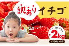 ≪先行予約≫令和8年度産 ブランドイチゴ たっぷり 約2kg 訳あり (約250g×8パック) 詰め合わせ