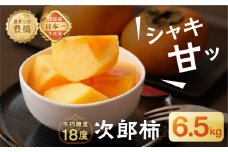 ≪先行予約≫次郎柿　6.5kg