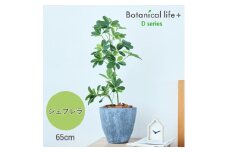 フェイクグリーン Botanical life+ Dシリーズ シェフレラ 65cm 光触媒加工 鉢付き インテリア 抗菌 消臭 愛知県 豊橋市 送料無料 41000円