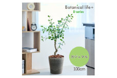 フェイクグリーン Botanical life+ Dシリーズ ガジュマル 100cm 光触媒加工 鉢付き インテリア 抗菌 消臭 愛知県 豊橋市 送料無料 41000円