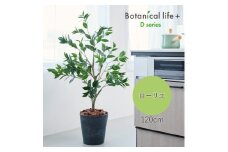 フェイクグリーン Botanical life+ Dシリーズ ローリエ 120cm 光触媒加工 鉢付き インテリア 抗菌 消臭 愛知県 豊橋市 送料無料 52000円