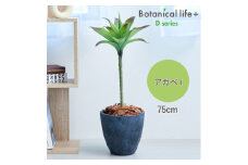 フェイクグリーン Botanical life+ Dシリーズ アガベI 75cm 光触媒加工 鉢付き インテリア 抗菌 消臭 愛知県 豊橋市 送料無料 35000円