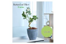 フェイクグリーン Botanical life+ Dシリーズ ツバキ 60cm 光触媒加工 鉢付き インテリア 抗菌 消臭 愛知県 豊橋市 送料無料 35000円
