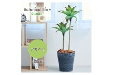 フェイクグリーン Botanical life+ Dシリーズ アガベII 100cm 光触媒加工 鉢付き インテリア 抗菌 消臭 愛知県 豊橋市 送料無料 47000円