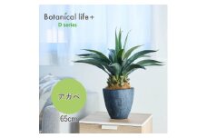 フェイクグリーン Botanical life+ Dシリーズ アガベ 65cm 光触媒加工 鉢付き インテリア 抗菌 消臭 愛知県 豊橋市 送料無料 41000円