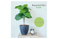 フェイクグリーン Botanical life+ Dシリーズ ウンベラータ 70cm 光触媒加工 鉢付き インテリア 抗菌 消臭 愛知県 豊橋市 送料無料 41000円
