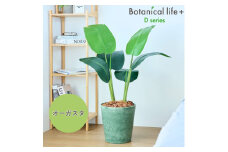フェイクグリーン Botanical life+ Dシリーズ オーガスタ 80cm 光触媒加工 鉢付き インテリア 抗菌 消臭 愛知県 豊橋市 送料無料 41000円