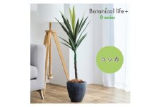 フェイクグリーン Botanical life+ Dシリーズ ユッカ 100cm 光触媒加工 鉢付き インテリア 抗菌 消臭 愛知県 豊橋市 送料無料 35000円