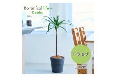 フェイクグリーン Botanical life+ Dシリーズ ドラセナ 110cm 光触媒加工 鉢付き インテリア 抗菌 消臭 愛知県 豊橋市 送料無料 41000円