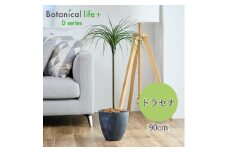フェイクグリーン Botanical life+ Dシリーズ ドラセナ 90cm 光触媒加工 鉢付き インテリア 抗菌 消臭 愛知県 豊橋市 送料無料 41000円