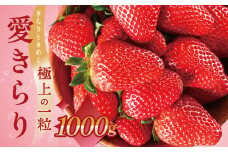 ≪先行予約≫希少品種 愛きらり 1kg いちご 果物 フルーツ 旬 先行予約 期間限定 イチゴ 苺 パック 高糖度 甘い ケーキ フルーツサンド ジャム にも おすすめ 大満足 規格外 甘さ