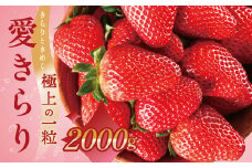 ≪先行予約≫希少品種 愛きらり 2kg いちご 果物 フルーツ 旬 先行予約 期間限定 イチゴ 苺 パック 高糖度 甘い ケーキ フルーツサンド ジャム にも おすすめ 大満足 規格外 甘さ