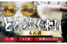 本場 × 厳選 国産 とらふぐ 刺身 6人前