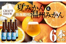 東三河の地産地消にこだわったクラフトビール『ＤＡＭＯＮＤＥ』夏みかん・温州みかん（２種６本セット） ビール ビールセット 贈答 ギフト お祝い お酒 地ビール 地酒 瓶ビール おススメ ギフト プレミアムビール BBQ 差し入れ クラフト 麦酒 愛知県 豊橋市