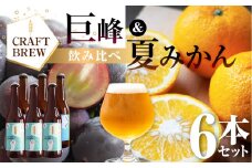 東三河の地産地消にこだわったクラフトビール『ＤＡＭＯＮＤＥ』巨峰・夏みかん（２種６本セット） ビール ビールセット 贈答 ギフト お祝い お酒 地ビール 地酒 瓶ビール おススメ ギフト プレミアムビール BBQ 差し入れ クラフト 麦酒 愛知県 豊橋市