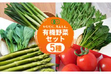 【先行予約】有機野菜セット 5種 野菜 セット 有機栽培 ミニトマト アスパラ ほうれん草 水菜 春菊 高糖度 新鮮 産地直送 季節の野菜 詰め合わせ やさい 自然 安心安全 旬 有機 送料無料 愛知県 豊橋市